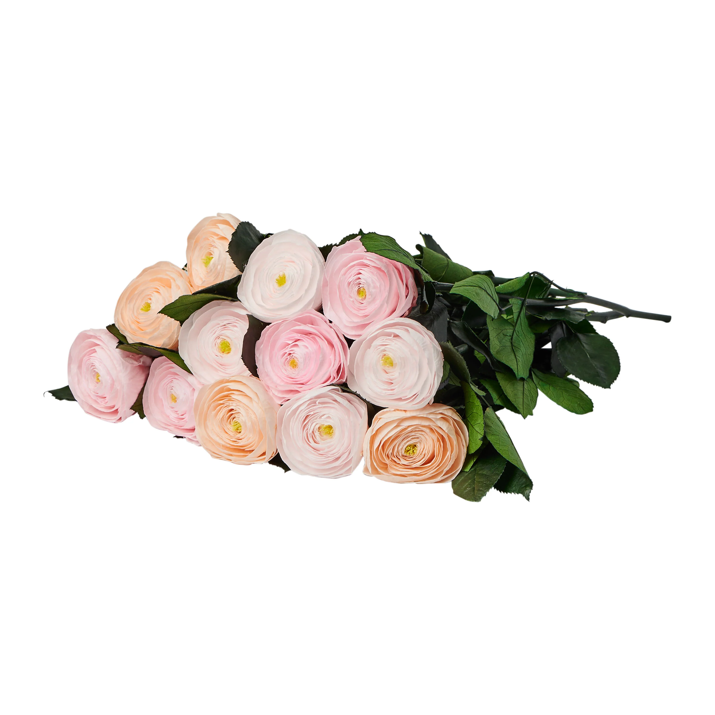 Best Selling Products